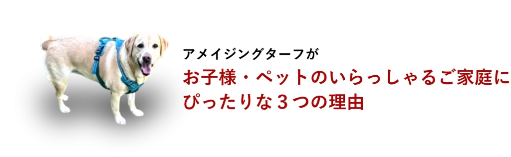 アメイジングターフがお子様・ペットのいらっしゃるご家庭にぴったりな3つの理由